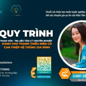 KHOÁ HỌC NGHIỆP VỤ: QUAN SÁT MẪU QUY TRÌNH THAM VẤN – TRỊ LIỆU CHUYÊN NGHIỆP DÀNH CHO THANH THIẾU NIÊN CÓ CAN THIỆP HỆ THỐNG GIA ĐÌNH